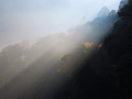 熊野の朝霧