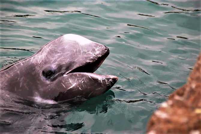 ステキな出会い🐳🐬