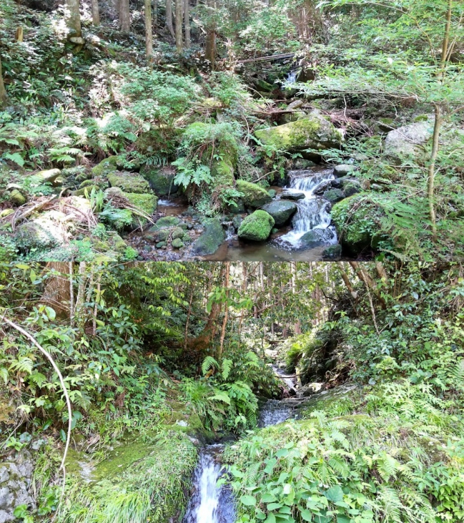〝熊野古道〟の山の水